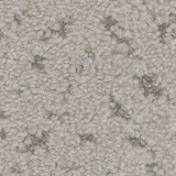 Phenix Carpets
Impression